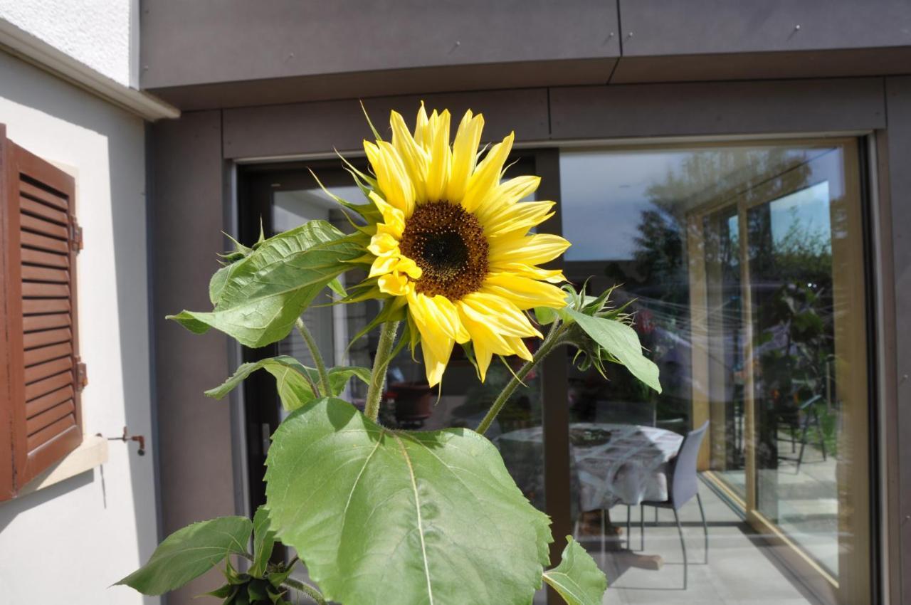 Ferienwohnung La Ruche Tramelan Exterior foto